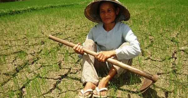 Nam Trung Bộ đối phó với hạn hán: Chật vật tìm nguồn nước cho dân