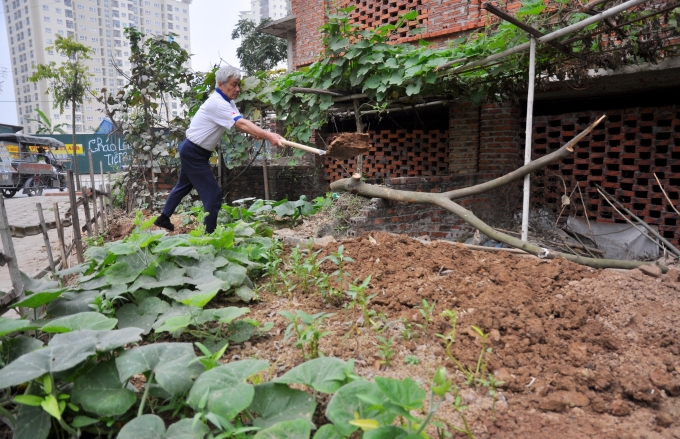 &Ocirc;ng Lưu Trường Đệ (68 tuổi, Trung Văn, H&agrave; Nội) đang cải tạo th&ecirc;m một khu đất để trồng rau sạch.