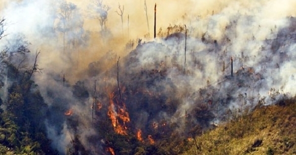 Lào Cai: Khống chế thành công hai đám cháy rừng liên tiếp trong 1 ngày