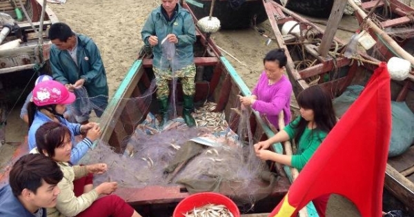 Thanh Hóa: Ngư dân Sầm Sơn được bố trí 3 bến thuyền để hoạt động