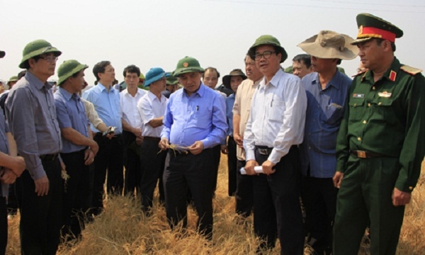Ph&oacute; Thủ tướng Nguyễn Xu&acirc;n Ph&uacute;c thăm c&aacute;nh đồng của b&agrave; con người Jơ rai. (Ảnh: C&ocirc;ng Bắc).