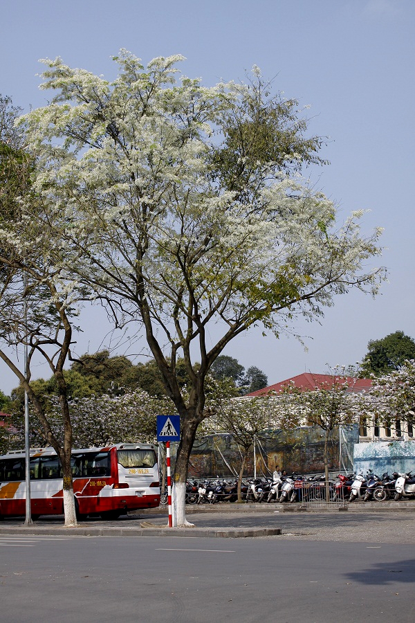 Một kh&ocirc;ng gian rất l&atilde;ng mạn, rất ho&agrave;i niệm v&agrave; rất H&agrave; Nội.