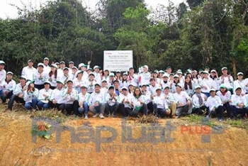 Thanh Hóa: Hàng trăm học sinh tình nguyện tham gia trồng rừng