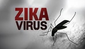 Cảnh giác phát hiện sớm dịch bệnh virut Zika
