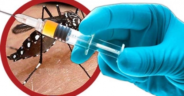 5 người Hà Tĩnh tử vong tại Angola vì bệnh sốt xuất huyết