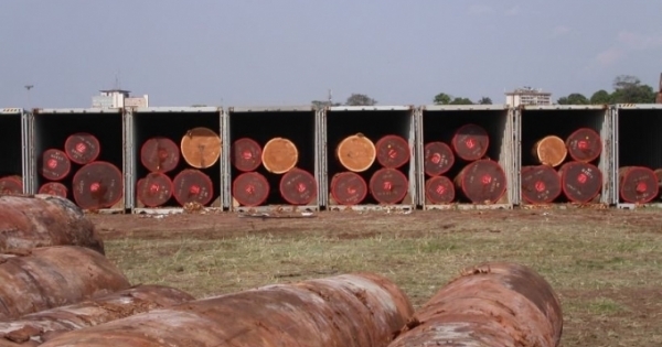 Bắt quả tang đối tượng vận chuyển 5m3 gỗ lim từ Lào về Việt Nam