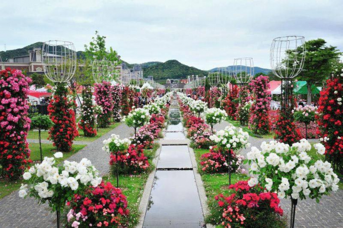 Lễ hội hoa hồng Bulgaria lớn nhất Việt Nam trước giờ G