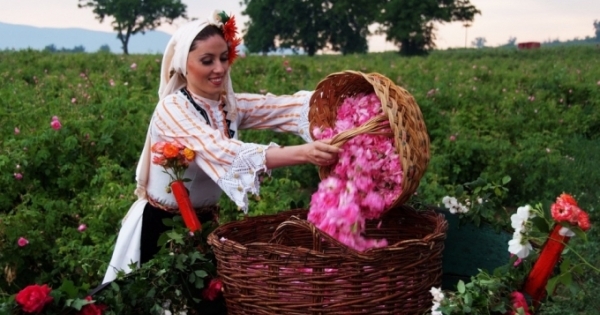 Nguồn gốc ‘Lễ hội hoa hồng’ ở Bulgaria