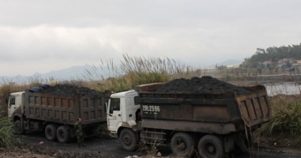 Khai thác khoáng sản trái phép ở Quảng Ninh: Doanh nghiệp “vờ” san lấp mặt bằng để trộm than