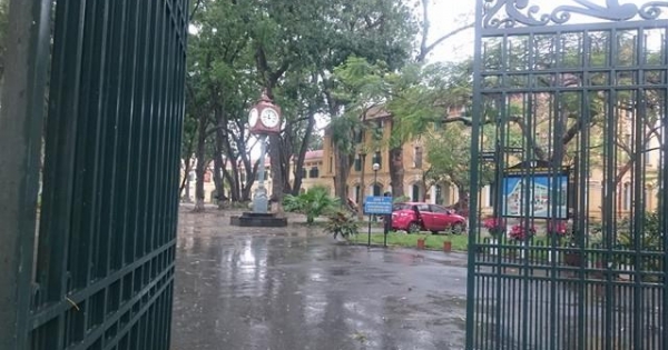 Hà Nội: Mưa to kèm theo gió lớn, một cây xà cử đổ làm 4 học sinh nhập viện