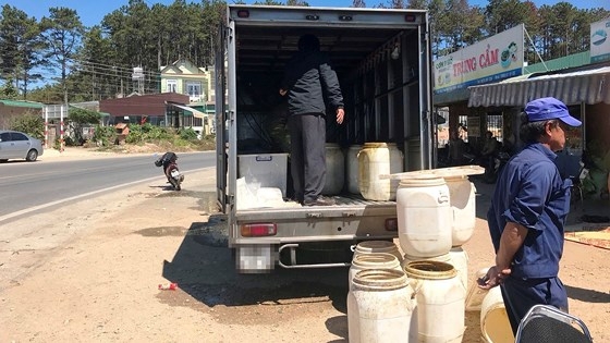 Lâm Đồng: Phát hiện 1 người chết, 1 người hôn mê trong ca bin xe tải đông lạnh