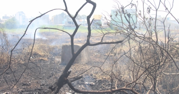 TP HCM: Cả khu phố nháo nhào vì đốt rác bị cháy lan