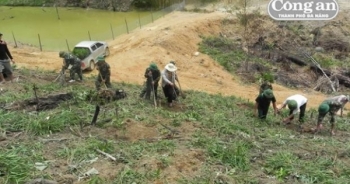Chuyện lính biên phòng đưa “cam Xã Đoài” xuất ngoại sang Lào