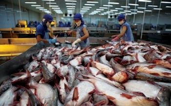 Audio Tài chính Plus: Vượt EU, ASEAN trở thành thị trường lớn thứ 3 của cá tra Việt