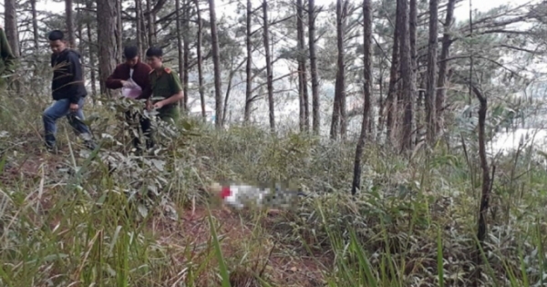 Sơn La: Phát hiện một thi thể nam thanh niên tử vong ở bãi cỏ trong rừng