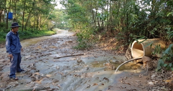 Quảng Nam: Vỡ hồ chứa quặng của Cty khai thác vàng dẫn đến ô nhiễm môi trường