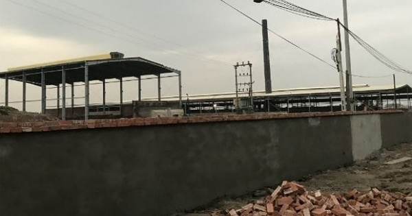 Vì sao không xử lý xưởng sản xuất gạch trái phép ở Thanh Oai, Hà Nội?