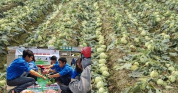 Bản tin Kinh tế Plus: “Giải cứu” hàng nghìn tấn nông sản “ế” cho nông dân