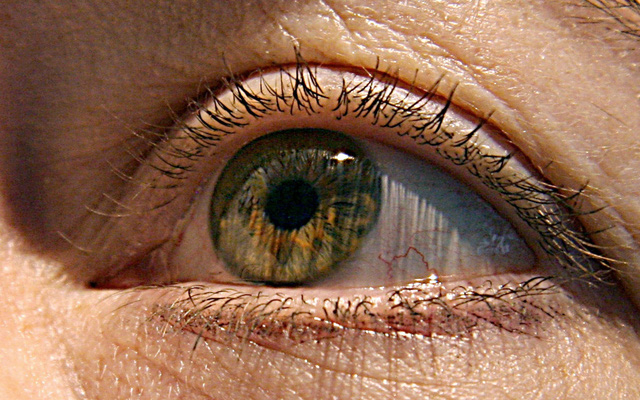 Miếng d&aacute;n được gh&eacute;p v&agrave;o mắt bị tổn thương để tăng cường c&aacute;c tế b&agrave;o nhạy cảm với &aacute;nh s&aacute;ng