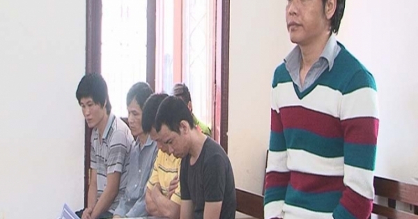 Lâm Đồng: Khai thác trái phép khối lượng gỗ lớn, nhóm đối tượng chia nhau 105 tháng tù