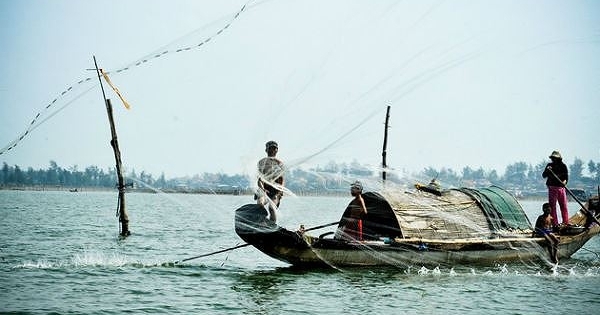 Niềm vui lên bờ của ngư dân phá Tam Giang