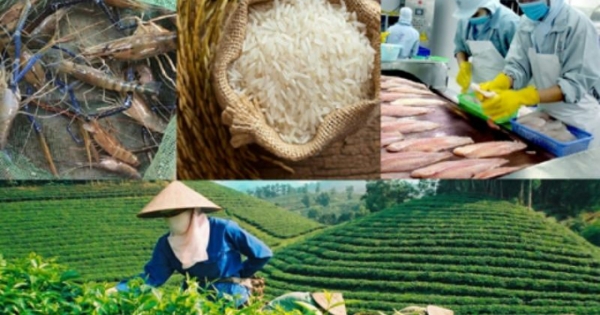 Xây dựng thương hiệu quốc gia cho nông sản Việt