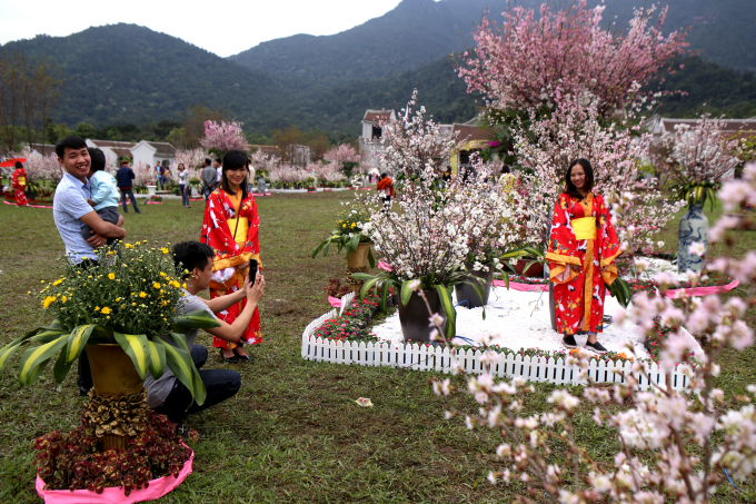 Nhiều bạn trẻ thu&ecirc; trang phục truyền thống Nhật Bản để chụp ảnh b&ecirc;n những ch&ugrave;m hoa Anh Đ&agrave;o.