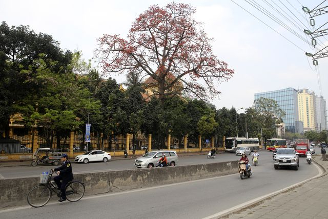 C&acirc;y gạo c&ograve;n c&oacute; t&ecirc;n gọi M&ocirc;̣c mi&ecirc;n, Pơ lang, ở H&agrave; N&ocirc;̣i kh&ocirc;ng trồng nhiều nhưng vào m&ugrave;a hoa nở, sắc đỏ hoa gạo nổi bật lấn &aacute;t c&aacute;c loại c&acirc;y hoa kh&aacute;c.