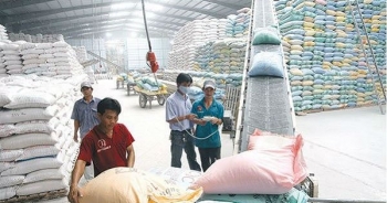 Nhiều hợp đồng xuất khẩu gạo lớn được ký kết