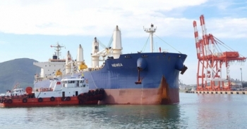 Kinh doanh vận tải biển: Doanh nghiệp tư nhân thiếu “đất sống”?