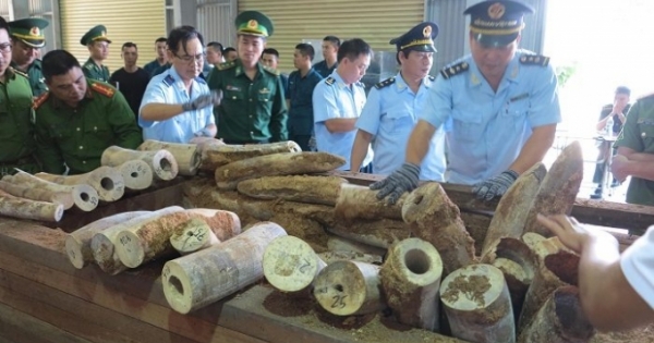 Phát hiện gần chục tấn hàng hóa nghi là ngà voi tại cảng Tiên Sa