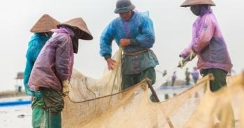 Nghề "cứu đói" cho người dân ở vùng biển Đồng Châu