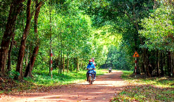 Đồng Nai đầu tư 500 tỷ cho du lịch rừng tại Biên Hòa