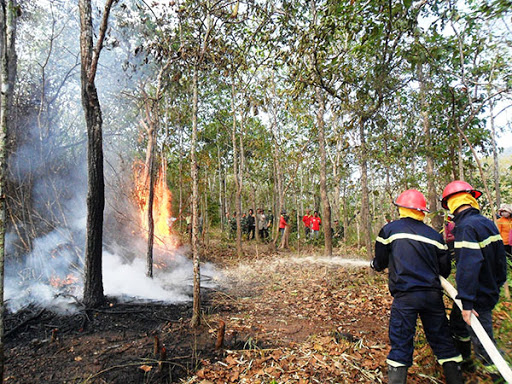Cháy rừng ở Đắk Nông. (Ảnh minh họa)