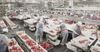 Tin kinh tế 10AM: Thịt lợn Nga ồ ạt về Việt Nam; Chevrolet Trailblazer lại giảm gần 200 triệu đồng