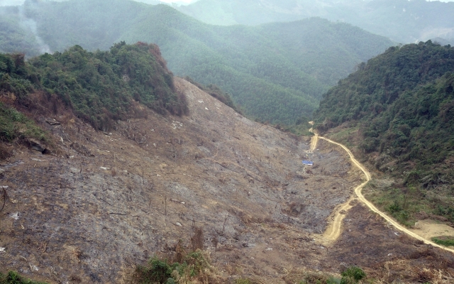 Nhiều diện tích rừng phòng hộ bị chặt hạ tại Tuyên Quang không tìm được thủ phạm?