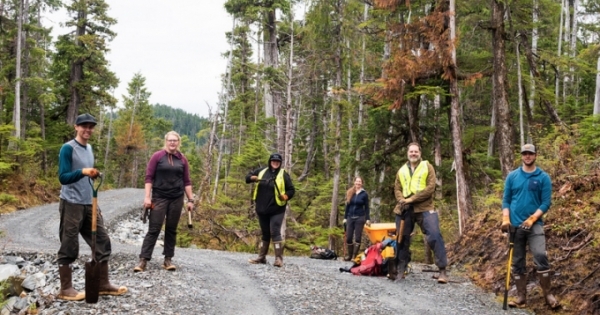Bài học đổi mới tư duy quản lý rừng tại Alaska