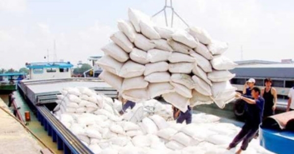 Chấm điểm uy tín nhà thầu mua gạo dự trữ quốc gia
