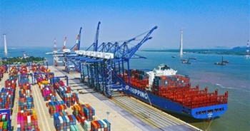 Hateco xây dựng 2 bến container tại Khu bến cảng Lạch Huyện