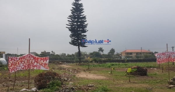 Thái Bình: Vì sao chủ đầu tư vội vàng tạm dừng đấu giá khu dân cư thôn Phú Xuân