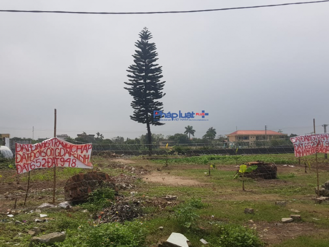 Địa điểm khu đất được quy hoạch khu dân cư thôn Phú Xuân, xã Đông Á đã bị một số hộ dân căng lưới bảo vệ, thông báo đất đang tranh chấp.