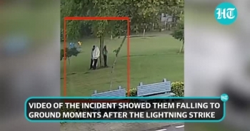 Clip: Kinh hoàng cảnh 4 người trú mưa dưới gốc cây bị sét đánh gục tại chỗ