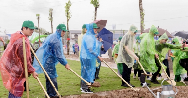 Hải Phòng: Khởi động chương trình trồng một triệu cây xanh