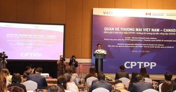 Kim ngạch thương mại Việt Nam - Canada đạt kỷ lục 8,9 tỷ USD nhờ CPTPP