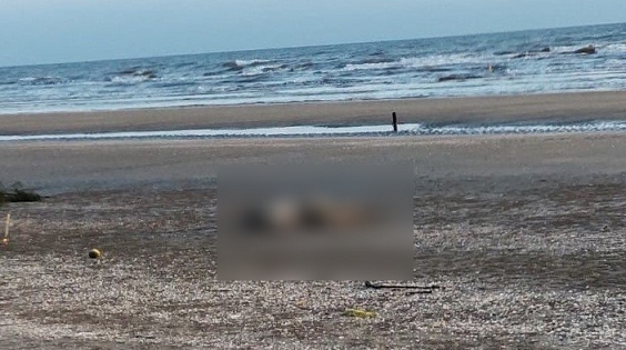 Ngư dân Hà Tĩnh vớt được một thi thể đàn ông cách bờ 5 hải lý