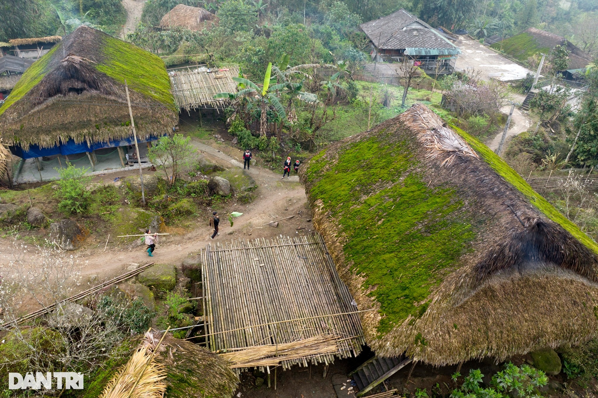 Thôn Xà Phìn hiện có hơn 50 hộ dân sinh sống, 100% là đồng bào dân tộc Dao. Bản làng nơi đây có tới hơn 90% các gia đình vẫn xây cất, sử dụng nhà sàn mái lá cọ truyền thống, trong đó có hàng chục căn