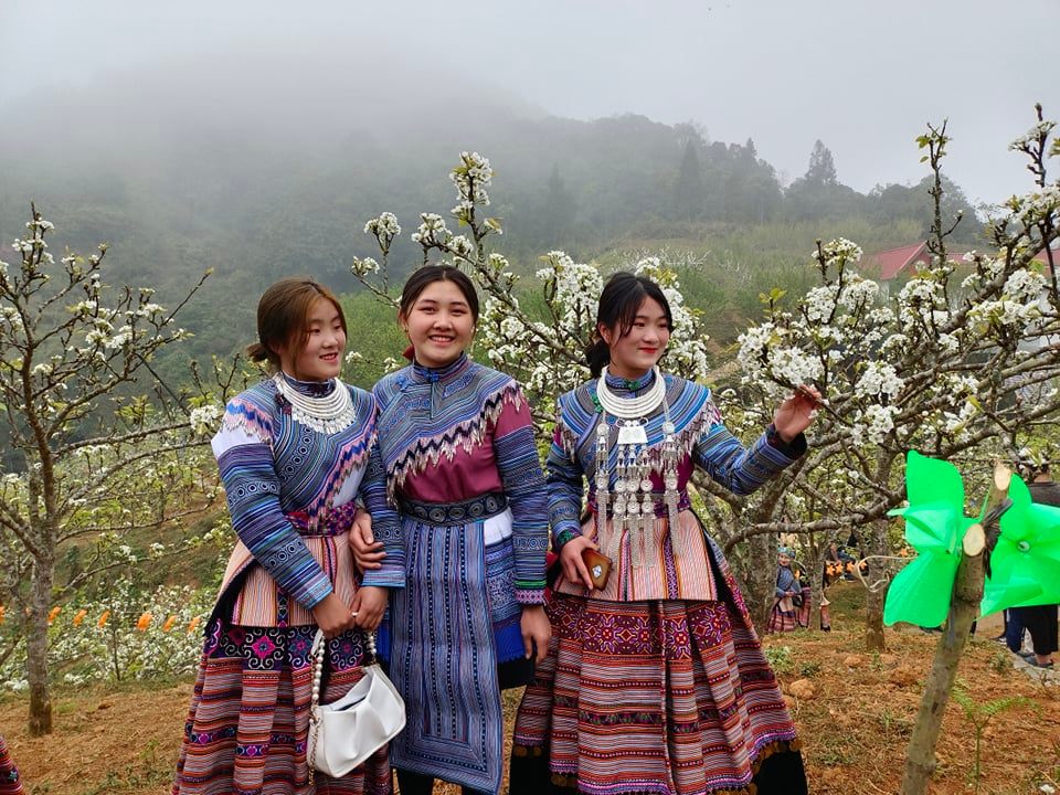 Vẻ đẹp trong sáng của những cô thôn nữ dân tộc Mông bên đồi hoa lê nở trắng muốt.