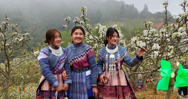 Lần đầu tiên Si Ma Cai tổ chức Lễ hội Hoa Lê Trắng