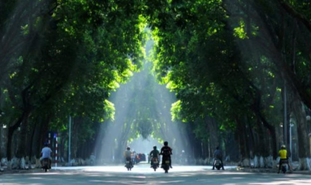 Quy hoạch Thủ đô: Nhiều cây xanh, đường phải thẳng…