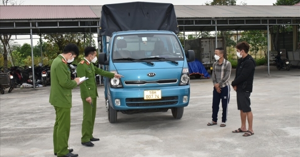 Ninh Bình: Bắt giữ 2 đối tượng đi ôtô tải trộm trâu liên tỉnh